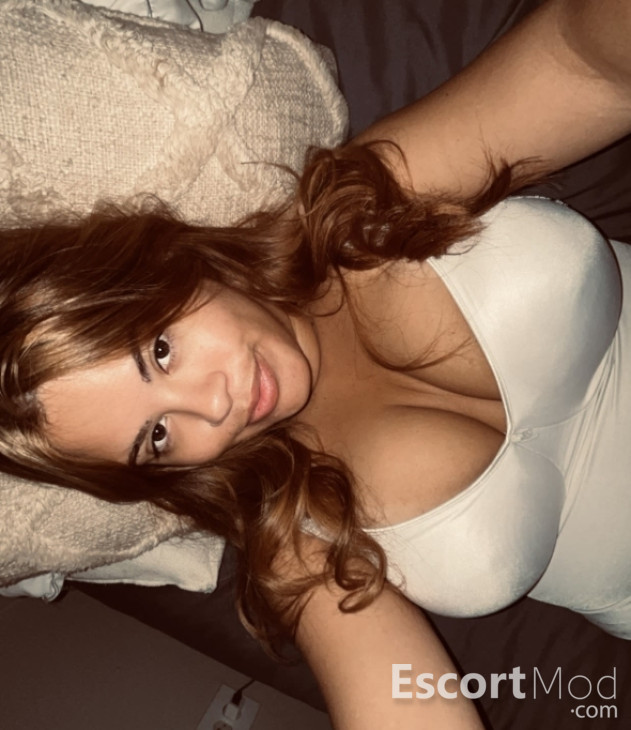 Kattxo Kattxo
