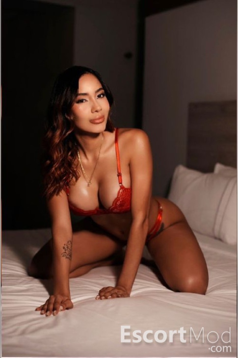 Ivy Ivy