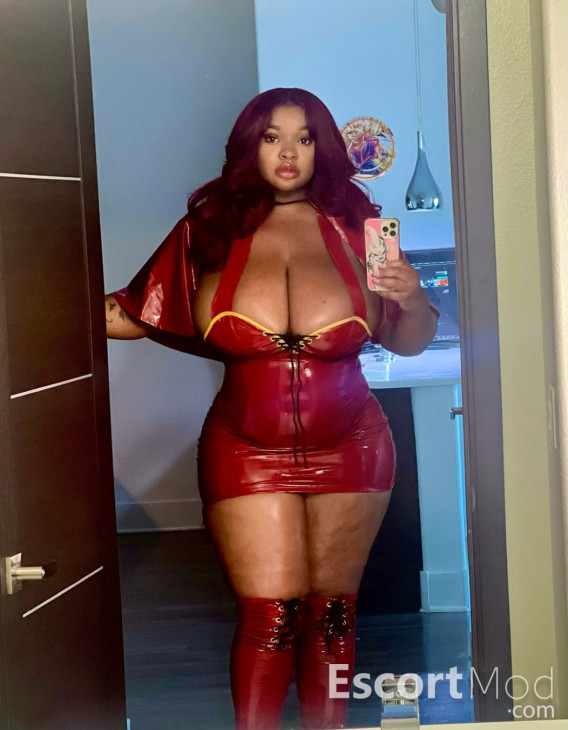 NIKITAXX NIKITAXX